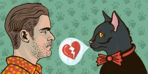 Как отучить кота гадить в неположенном месте: полный гид
